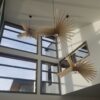 Atelier Loupiote Albatros