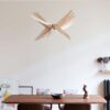 Atelier Loupiote Albatros