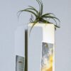 YSM LIGHTSHELF