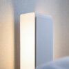 YSM LIGHTSHELF
