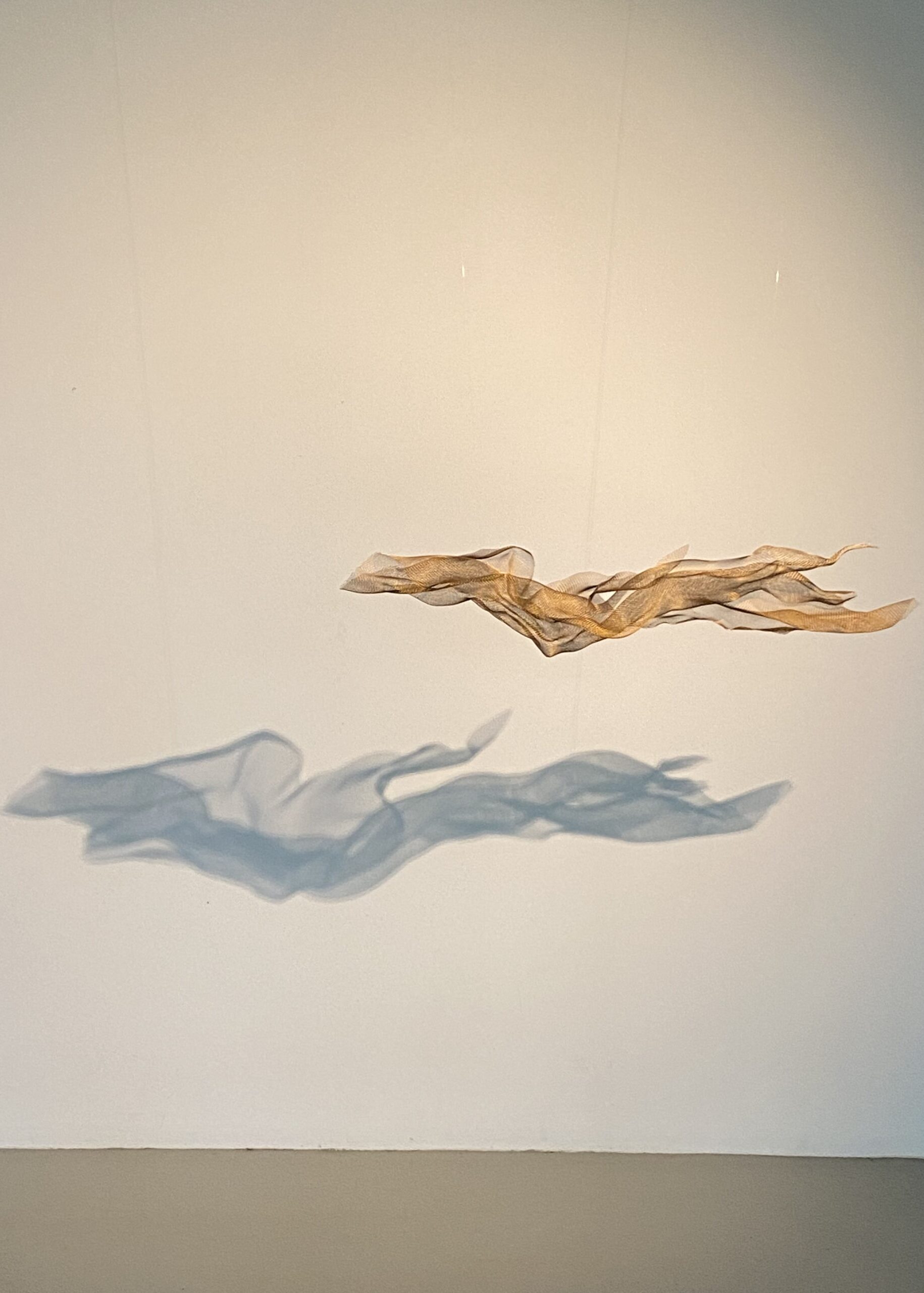 Artor-Alvarez-Apus